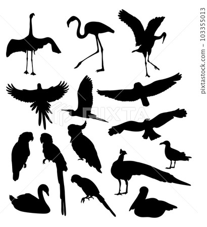 Collection silhouettes birds. Tropical, sea birds and fowls wildlife. Vector illustration. Isolated hand drawings on white background. 103355013