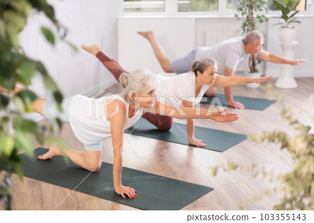Mature women pushing up and being on hands and feet with straight body while practicing Plank Pose or Makara Adho Mukha in fitness center Mature women pushing up and being on hands and feet with straight body while practicing Plank Pose or Makara Adho Mukha in fitness center 103355143