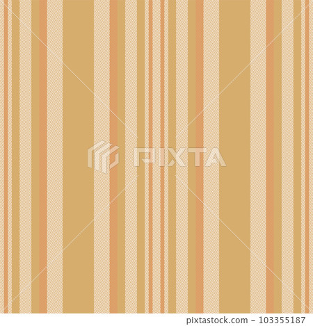 Vertical lines stripe pattern. Vector stripes background fabric texture. Geometric striped line seamless abstract design. Vertical lines stripe pattern. Vector stripes background fabric texture. Geometric striped line seamless abstract design. 103355187