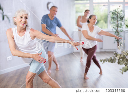 Group of elderly people dancing in fitness studio 103355368