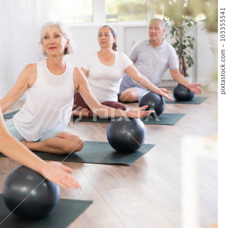 Group of elderly people doing pilates with soft ball in studio Group of elderly people doing pilates with soft ball in studio 103355541