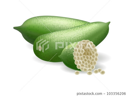 Finger lime caviar pulp 103356206