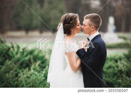 Beautiful bride and groom embracing and kissing on their wedding day 103356507