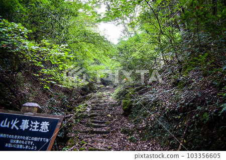 The mountain behind Kinosaki Onsen [adventure hiking in the hills of nature] 103356605