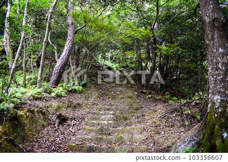 The mountain behind Kinosaki Onsen [adventure hiking in the hills of nature] 103356607
