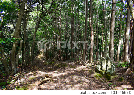 城崎溫泉後山【在大自然的丘陵中徒步探險】 103356658