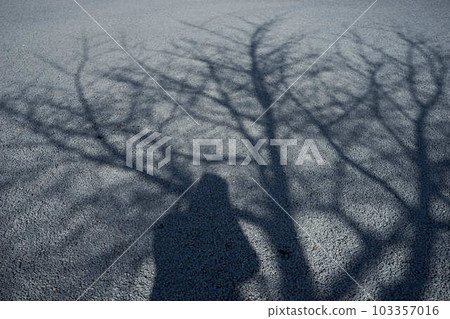 影子 影子 103357016