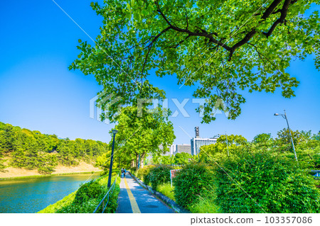 日本的東京城市景觀 初夏的一天......新鮮的綠色皇宮和內堀街的景色（後面的警視廳等）= 5月17日 103357086