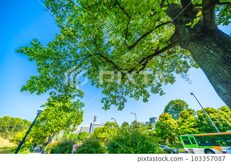 日本的東京城市景觀 初夏的一天......新鮮的綠色皇宮和內堀街的景色（後面的警視廳等）= 5月17日 103357087