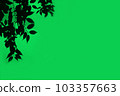 Silhouette of a tree branch on a green background 103357663