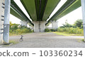 The back side of the bridge Sachikon Bridge 103360234
