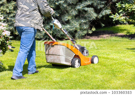 The gardener mows the green grass with a petrol mower in the garden on a bright sunny day. 103360383