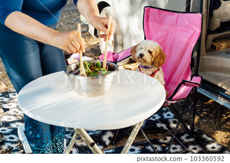 Focus on cockapoo puppy pet sitting on the chair while female owner cooking salad outside her camper van in forest camp during road trip. Best friend. free lifestyle, travel vacation. Travel with pet Focus on cockapoo puppy pet sitting on the chair while female owner cooking salad outside her camper van in forest camp during road trip. Best friend. free lifestyle, travel vacation. Travel with pet 103360592