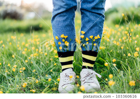 Close up female feet wearing jeans, shoes and striped black and yellow socks with flowers inside standing on the green grass of blooming meadow. Concept of bee protection, bloom season, creativity Close up female feet wearing jeans, shoes and striped black and yellow socks with flowers inside standing on the green grass of blooming meadow. Concept of bee protection, bloom season, creativity 103360616