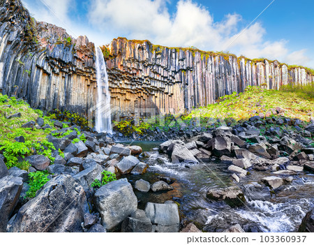 Breathtaking view of Svartifoss waterfall with basalt columns on South Iceland. 103360937