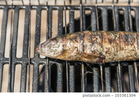 [Salted sardine grilled at the auto campsite] 103361304