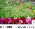 Flowers and greens 103361313