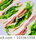 Roast beef sandwich 103361398