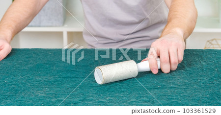 A man cleans a blanket from cat hair with a sticky A man cleans a blanket from cat hair with a sticky 103361529