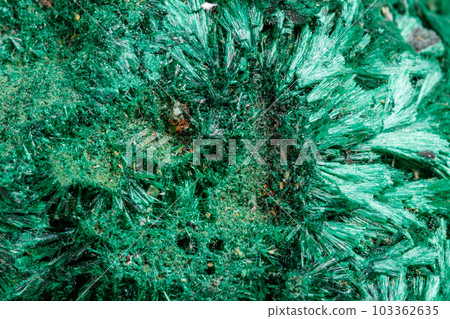 Macro mineral stone plisoviy, plush, satin malachite on a white background Macro mineral stone plisoviy, plush, satin malachite on a white background 103362635