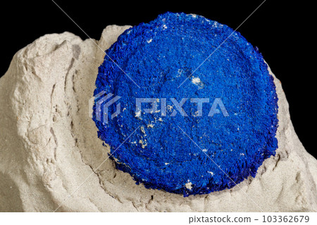 Macro mineral stone Azurite in siltstone against black background 103362679