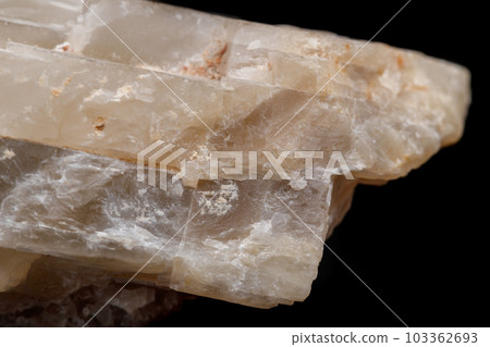 Macro mineral stone Moonstone a black background 103362693