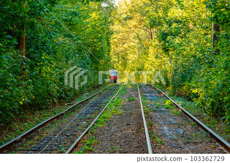 Tram and tram rails in colorful forest 103362729