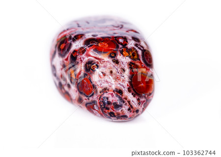 Macro mineral stone Jasper leopard on white background 103362744