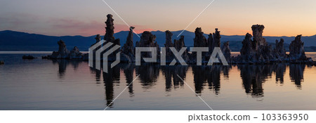 Tufa towers rock formation in Mono Lake. Sunny Sunrise. Tufa towers rock formation in Mono Lake. Sunny Sunrise. 103363950