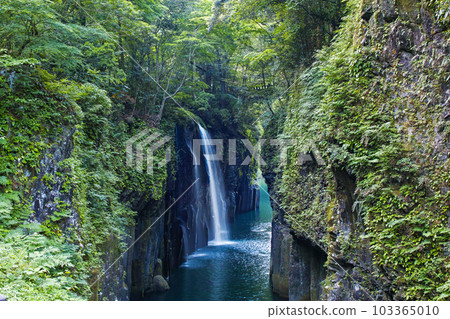 Miyazaki Prefecture / Takachiho Gorge's fresh green "Manai Falls" 103365010