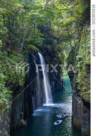宮崎縣/高千穂峽的新綠“真井瀑布” 103365016