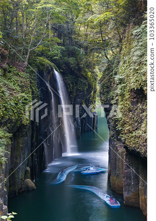 Miyazaki Prefecture / Takachiho Gorge's fresh green "Manai Falls" Miyazaki Prefecture / Takachiho Gorge's fresh green "Manai Falls" 103365020