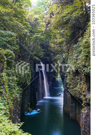 Miyazaki Prefecture / Takachiho Gorge's fresh green "Manai Falls" Miyazaki Prefecture / Takachiho Gorge's fresh green "Manai Falls" 103365025