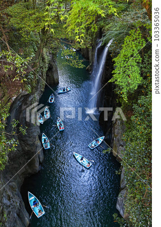 Miyazaki Prefecture / Takachiho Gorge's fresh green "Manai Falls" 103365036