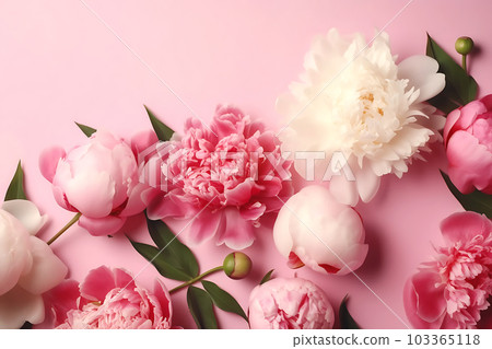 Tender peonies on pink background with copy space. Abstract natural floral frame layout with text space. Romantic feminine composition. Wedding invitation. International Women day, Mother Day concept 103365118