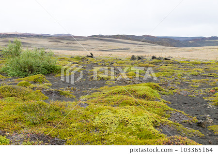 Iceland landscape near Hverfell volcano, Iceland landmark Iceland landscape near Hverfell volcano, Iceland landmark 103365164