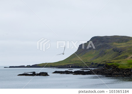 Borgarfjordur fjord view, east Iceland. Icelandic view 103365184