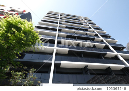 Appearance of apartment Appearance of apartment 103365246