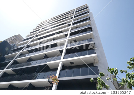 Appearance of apartment Appearance of apartment 103365247