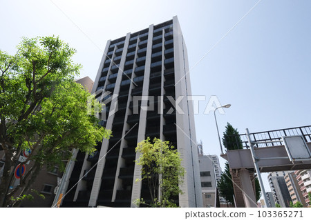Appearance of apartment Appearance of apartment 103365271