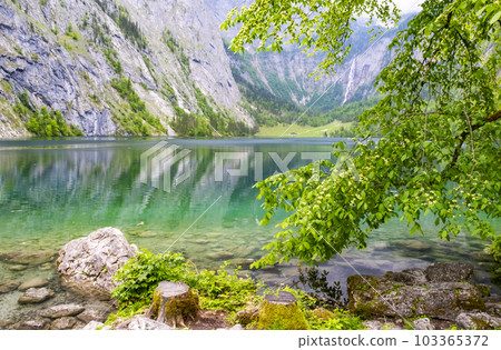 Green turquoise clear alpine lake Obersee Koenigssee surrounded by mountains Alps in Bavaria, Germany Green turquoise clear alpine lake Obersee Koenigssee surrounded by mountains Alps in Bavaria, Germany 103365372