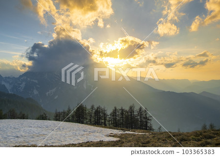 Idyllic panoramic in the Alps with fresh green meadows, pine forest and mountain tops in the background Idyllic panoramic in the Alps with fresh green meadows, pine forest and mountain tops in the background 103365383