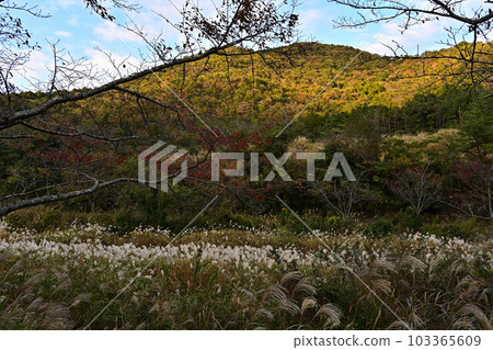 Tamba Sasayama的風景 Tamba Sasayama的風景 103365609