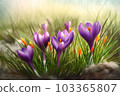 Crocus field. Nature plant flower. Generate Ai 103365807