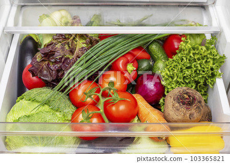 Vegetable compartment of the refrigerator full of fresh vegetables 103365821