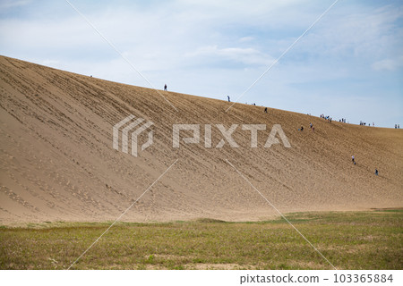 人們騎馬攀登鳥取沙丘 103365884