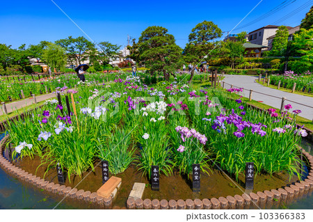 東京都葛飾區堀切鳶尾園 103366383