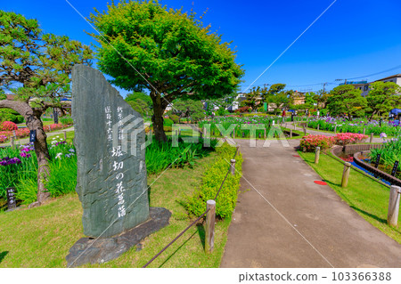 Horikiri Iris Garden, Katsushika Ward, Tokyo Horikiri Iris Garden, Katsushika Ward, Tokyo 103366388