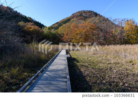 秋天的鹽原大沼公園 秋天的鹽原大沼公園 103366631