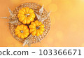 Autumn season, fall harvest, Happy Thanksgiving.Halloween Pumpkins.Different pumpkin varieties.Orange background.Space for text and copy space. Autumn postcard. Minimalist style.Border Design. 103366671